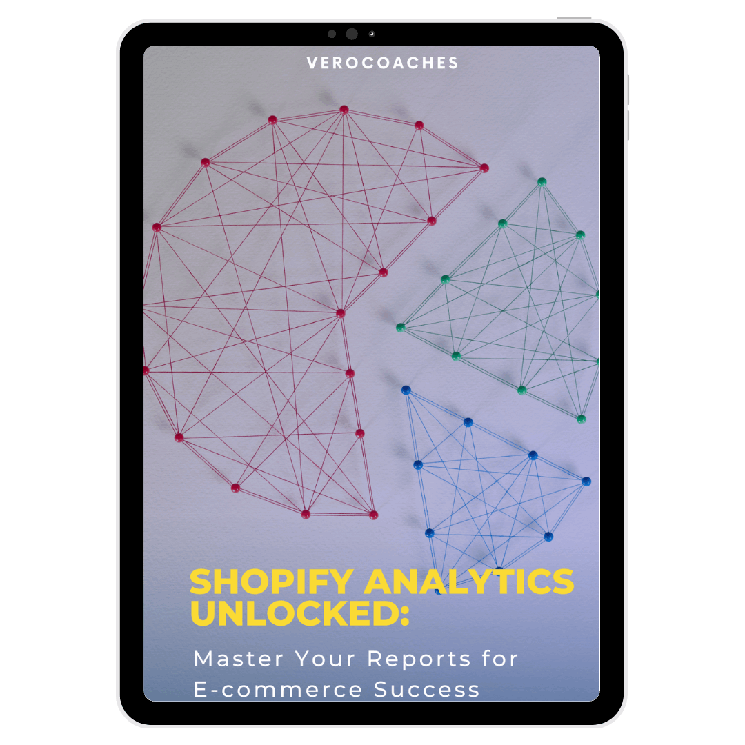 Graphical representation of data analysis from 'Shopify Analytics Unlocked' guide